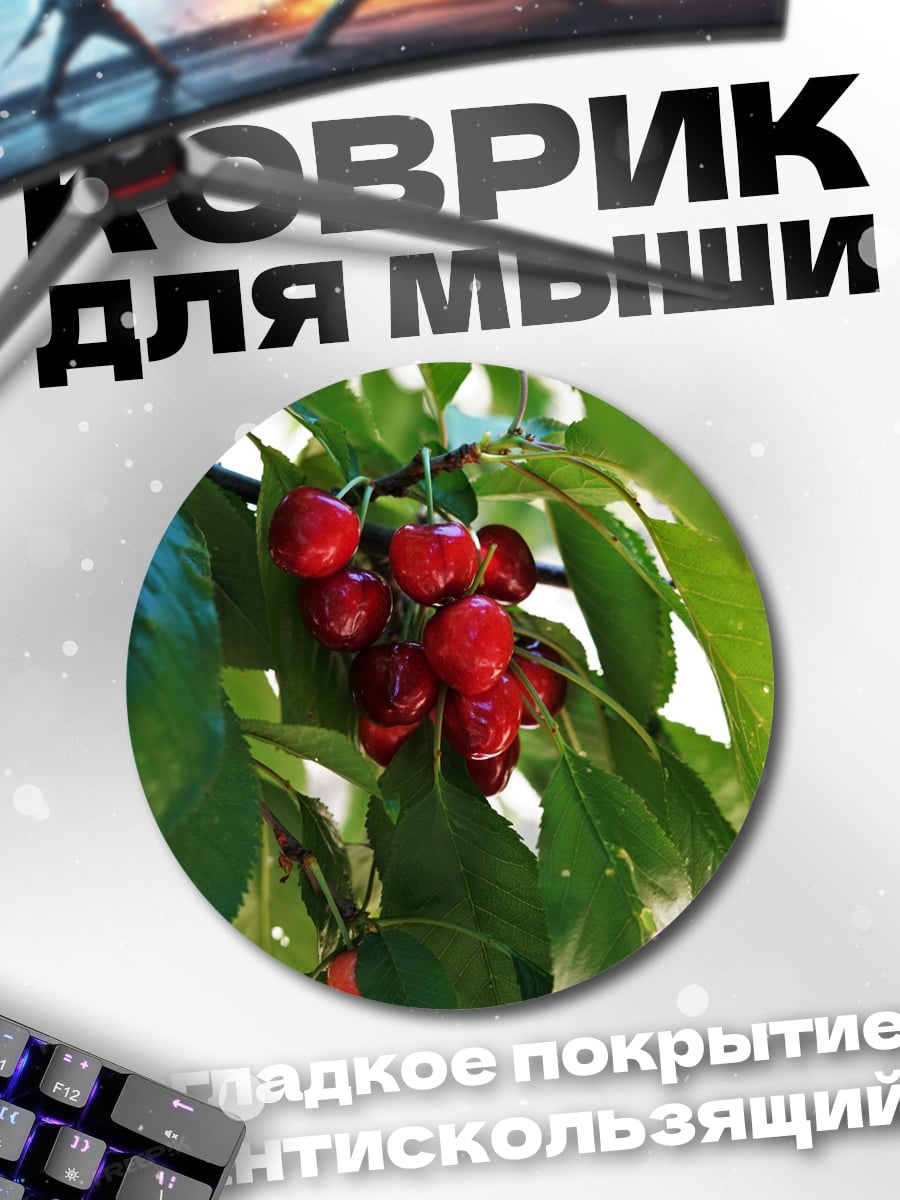 Коврик круглый вишня на ветке