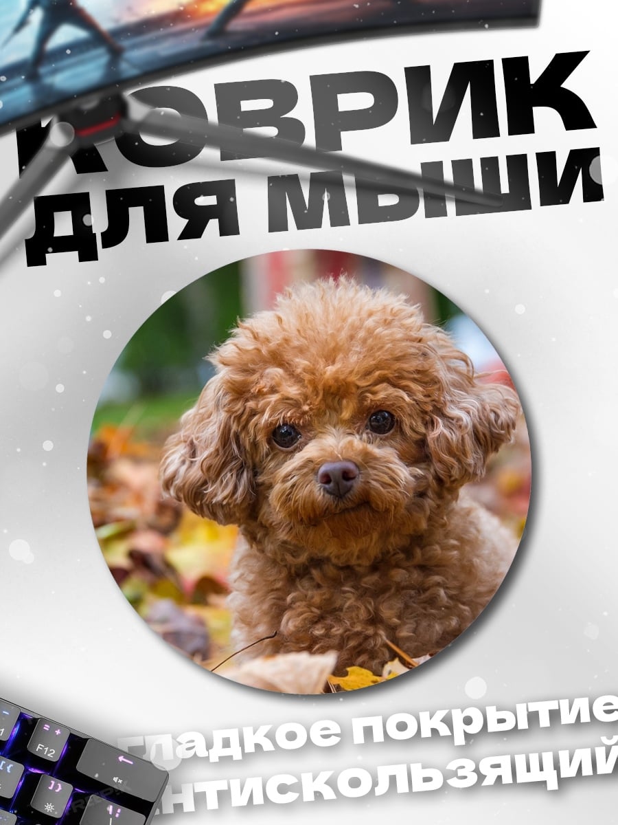 Коврик круглый Рыжий пудель осенью