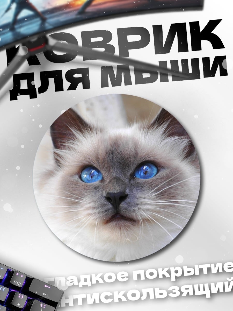 Коврик круглый голубоглазая бирманская кошка