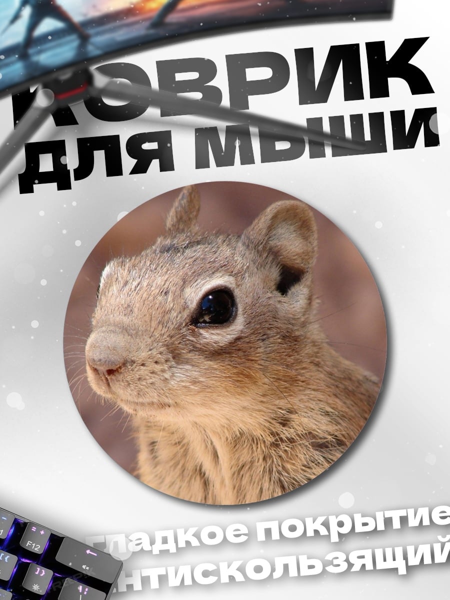 Коврик круглый Бурундук крупным планом