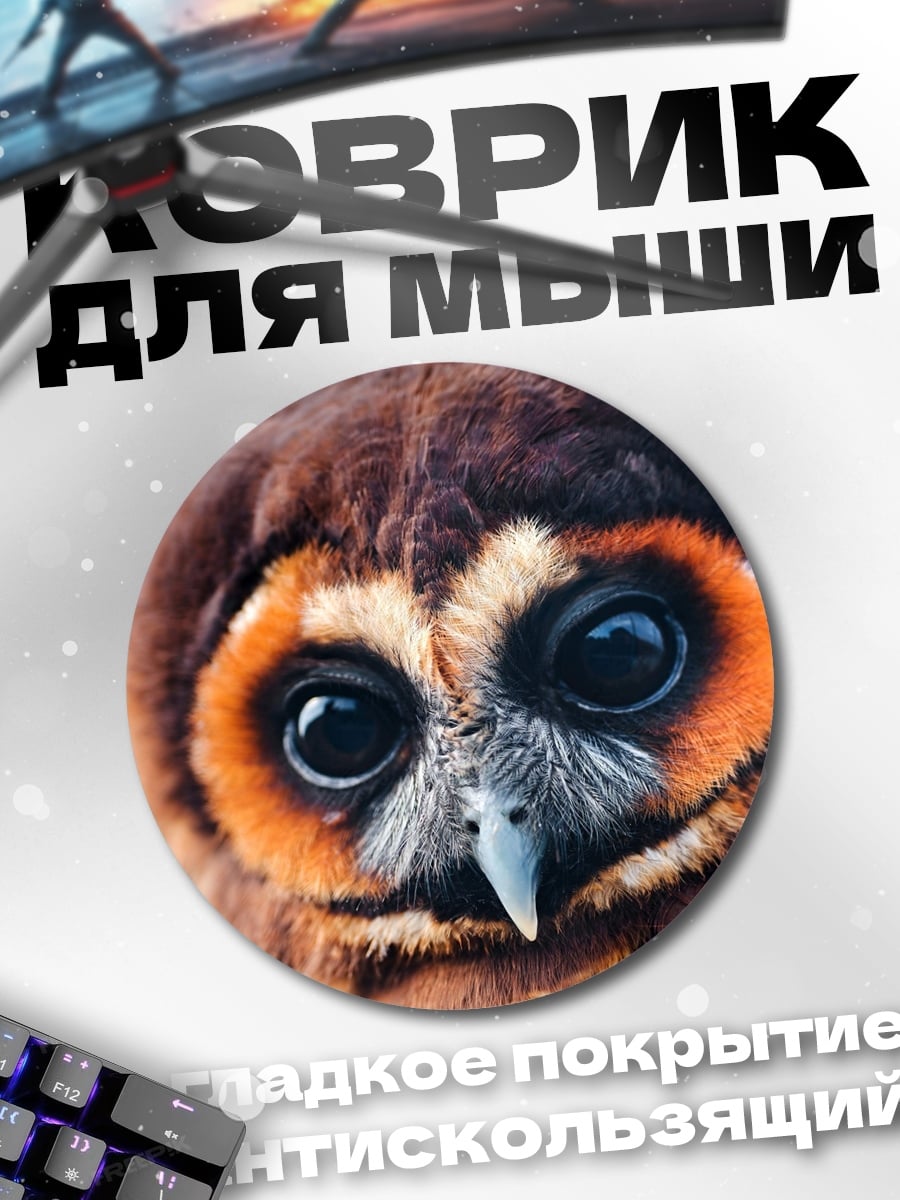 Коврик круглый Крупный план совы