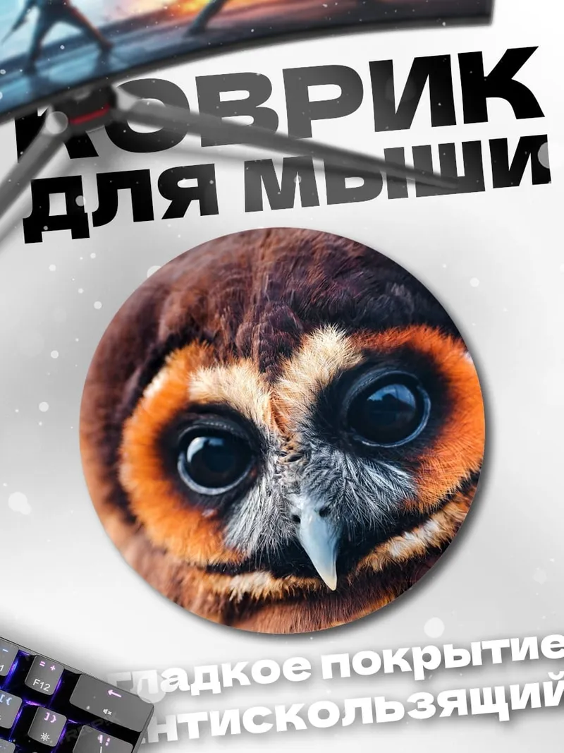 Коврик круглый Крупный план совы