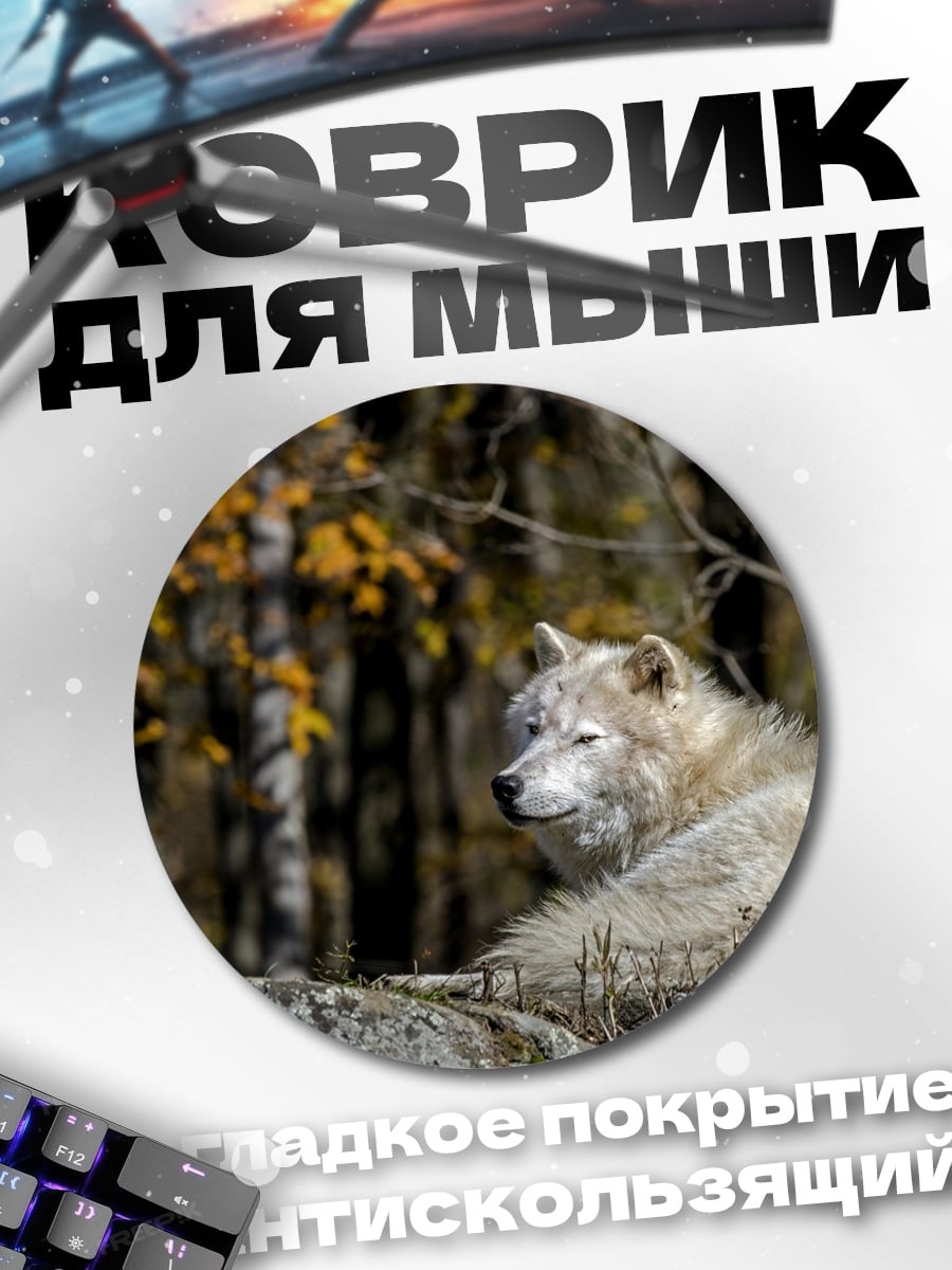 Коврик круглый Белый волк осенью