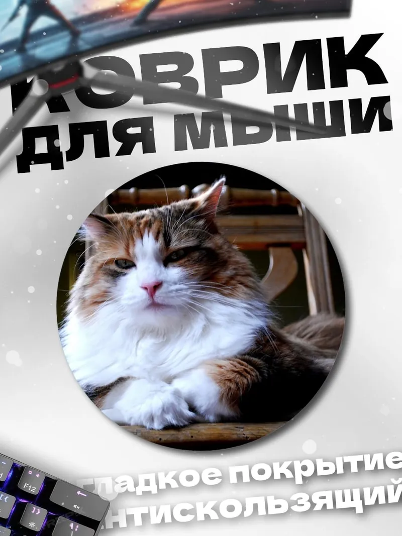 Коврик круглый Пушистый кот на стуле
