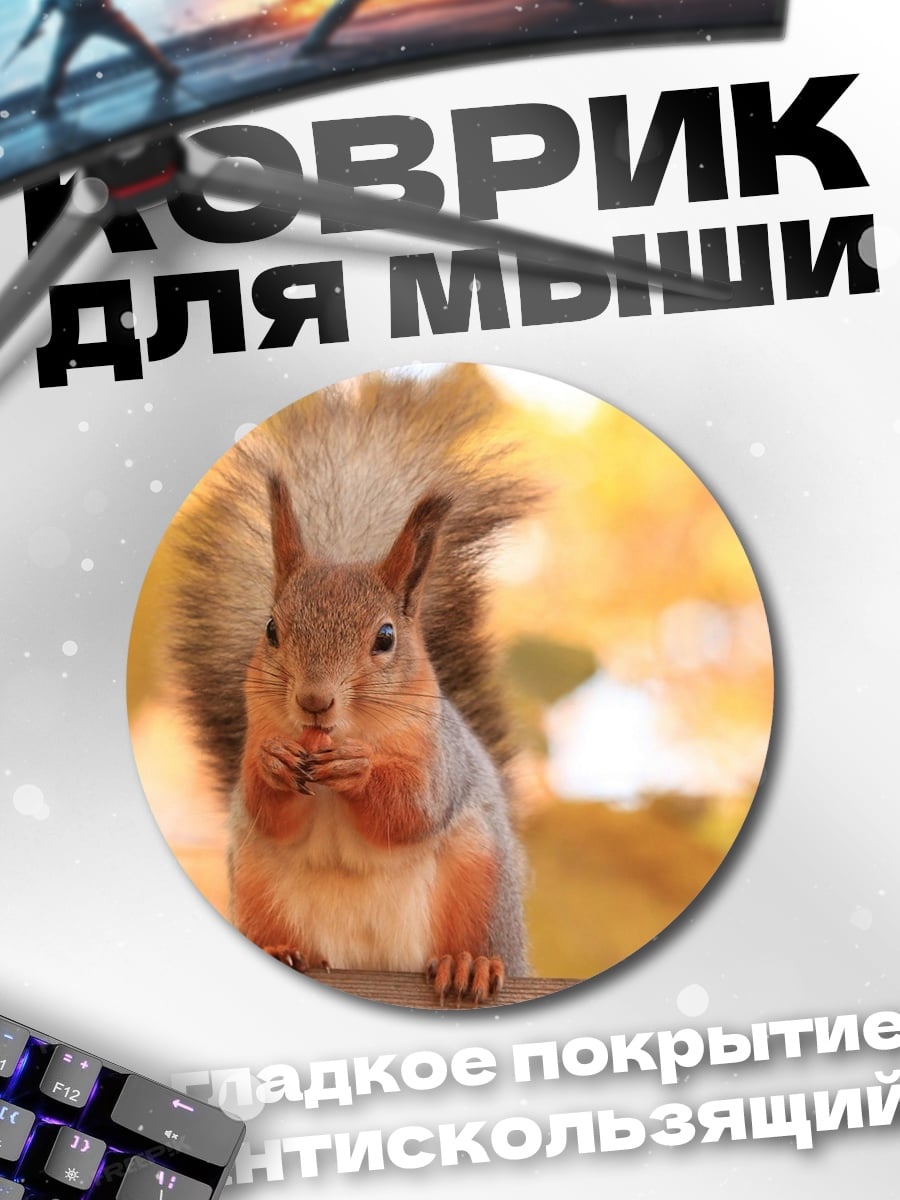 Коврик круглый Рыжая белка осенью