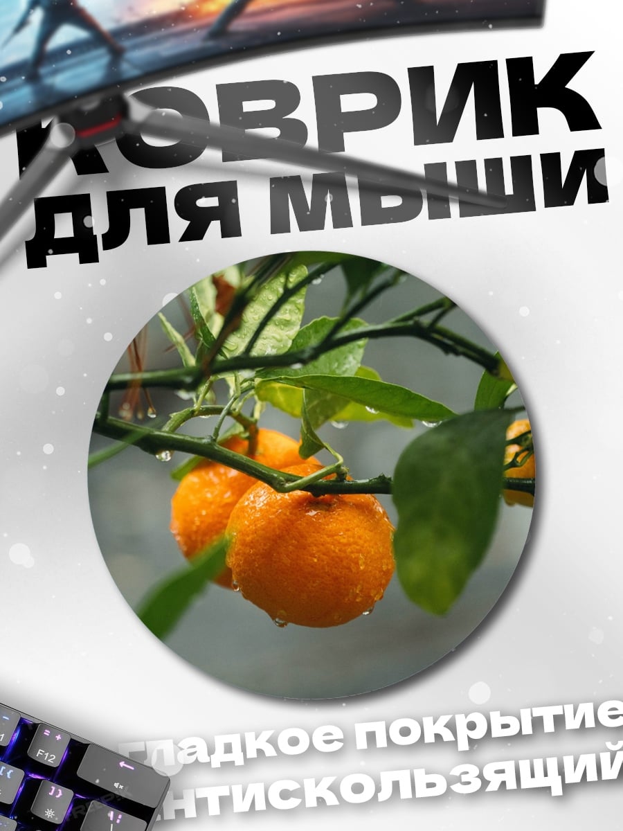 Коврик круглый мандарины на ветке