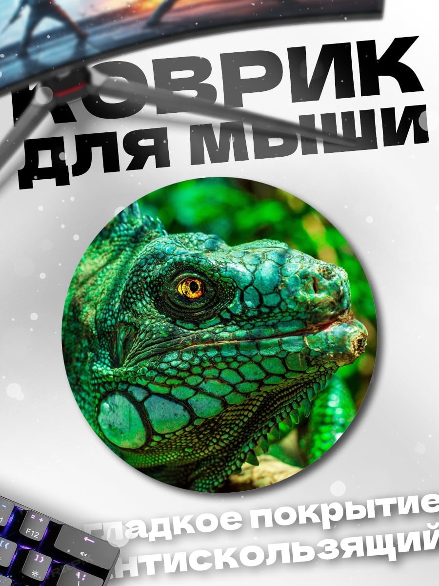 Коврик круглый Зеленая игуана крупным планом