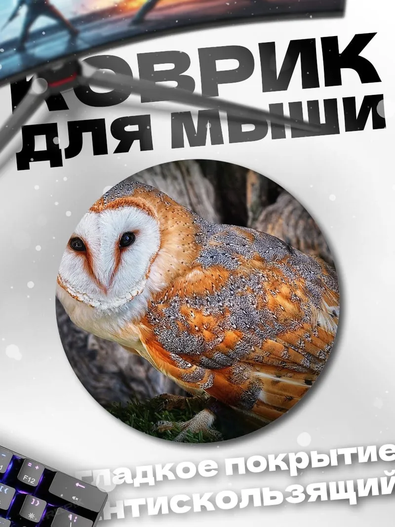 Коврик круглый Сипуха на дереве