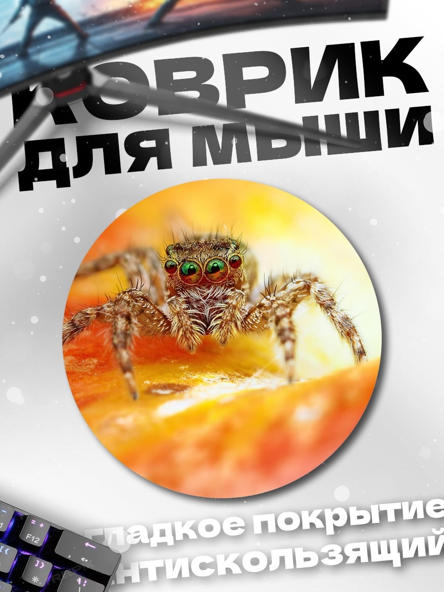 Коврик круглый паук на цветке