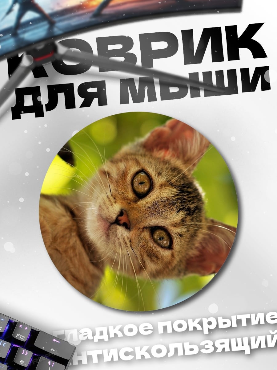 Коврик круглый любопытный котенок