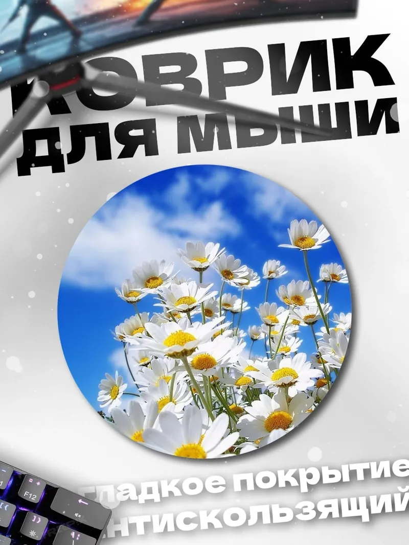 Коврик круглый ромашки на лугу