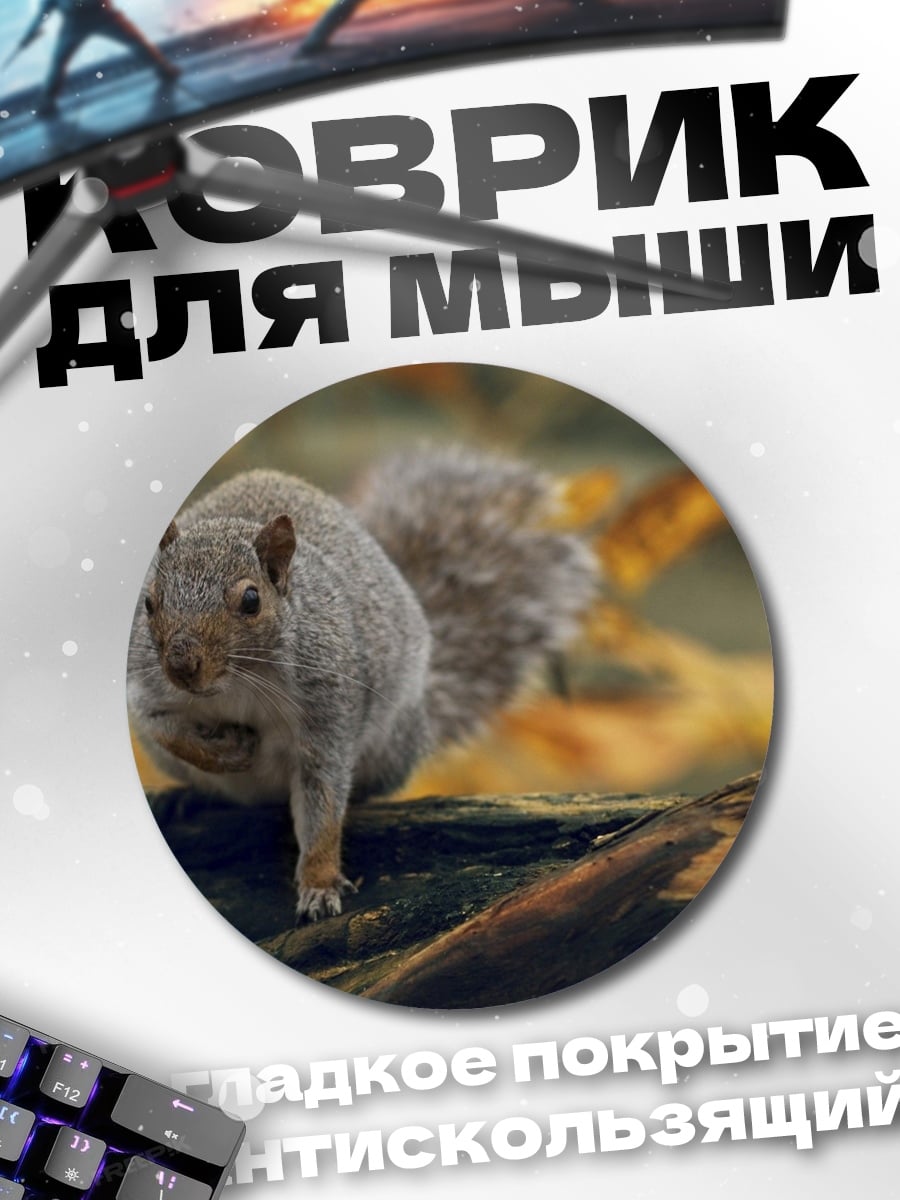 Коврик круглый Белка на ветке