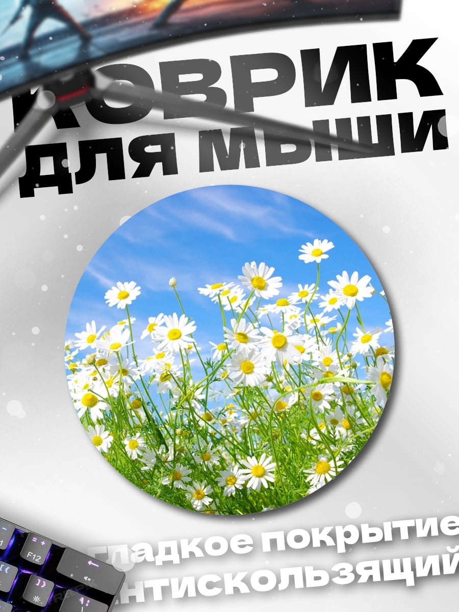 Коврик круглый поле ромашек небо