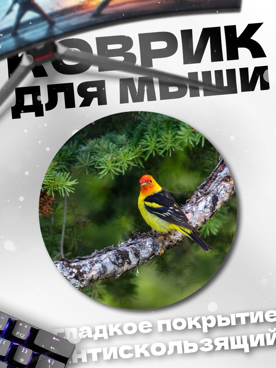 Коврик круглый Яркая птица на ветке