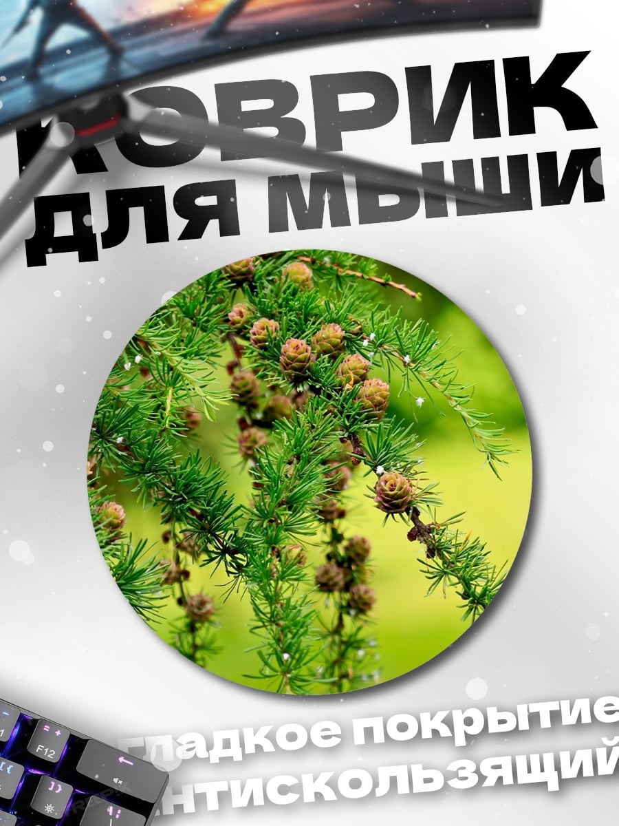 Коврик круглый Ветки ели с шишками