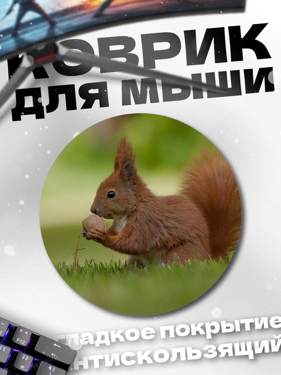 Коврик круглый Рыжая белка ест