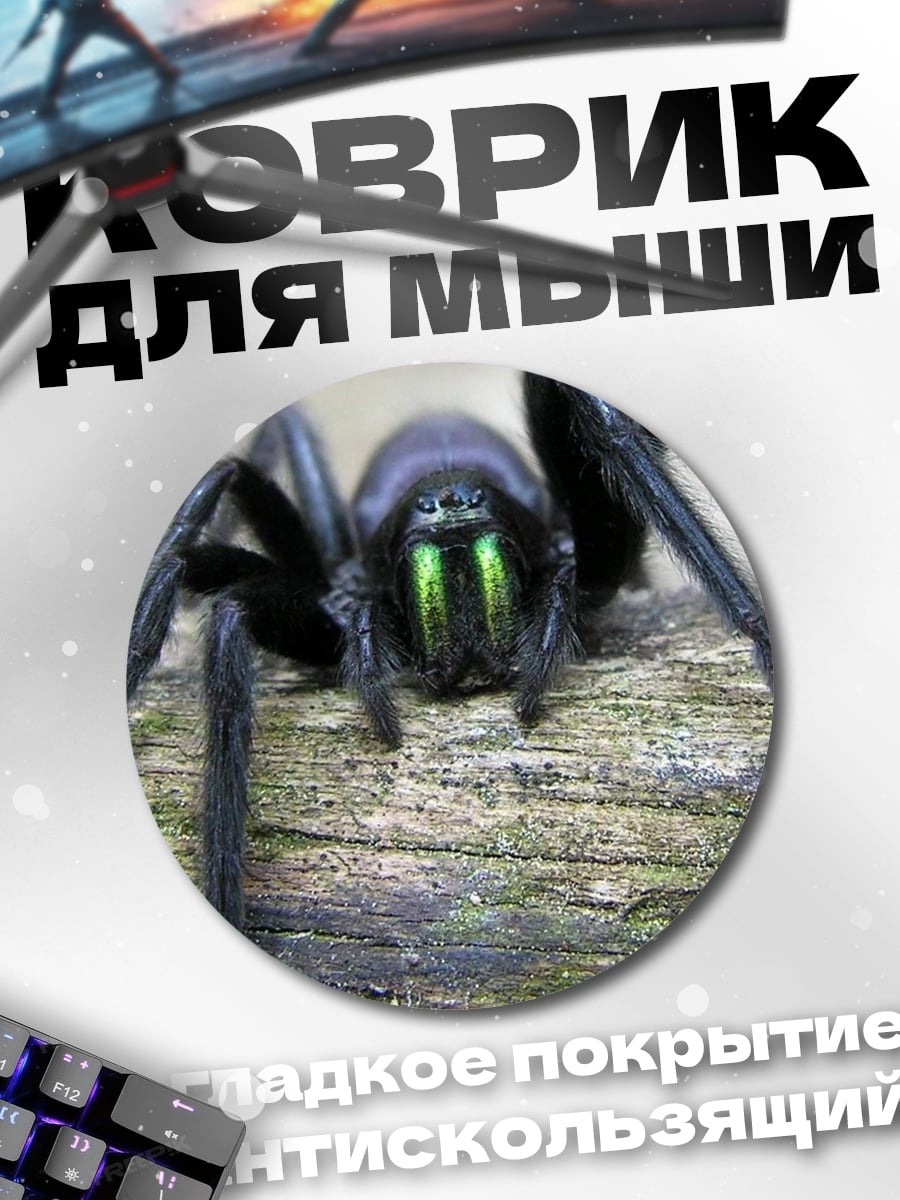 Коврик круглый Паук с зелеными глазами