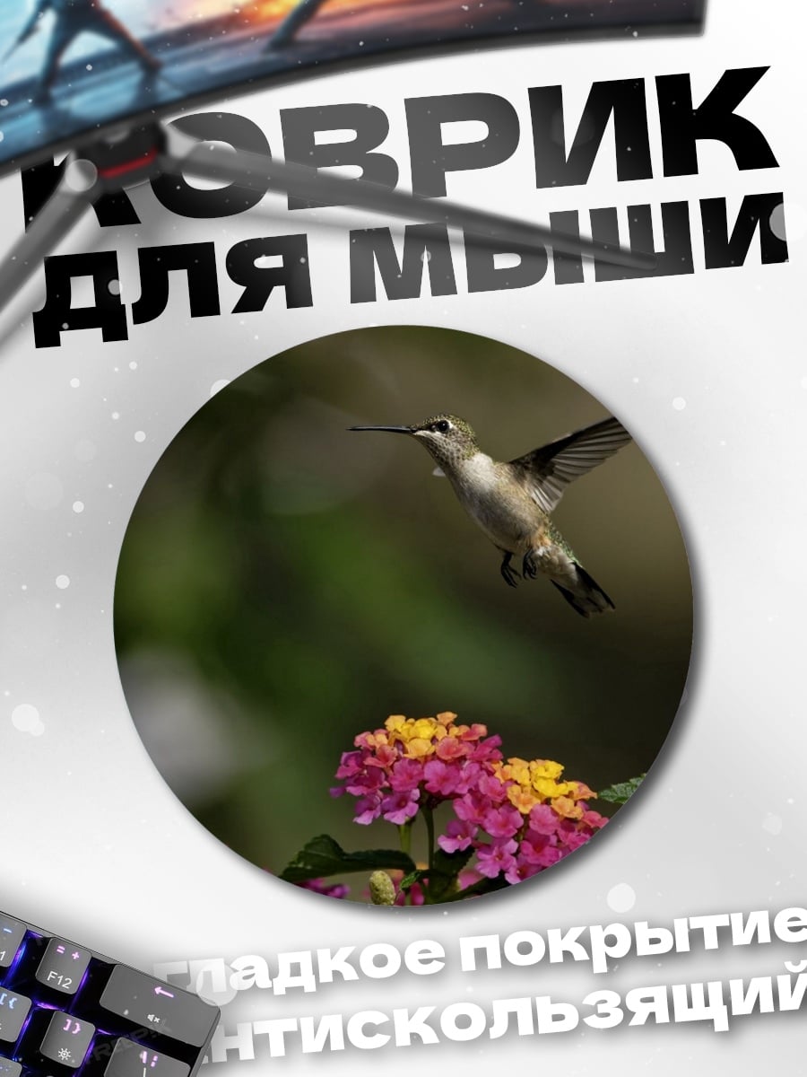 Коврик круглый Колибри над цветами