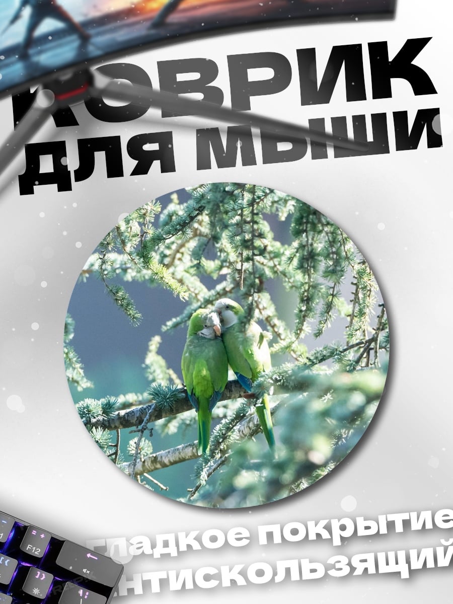 Коврик круглый Пара попугаев