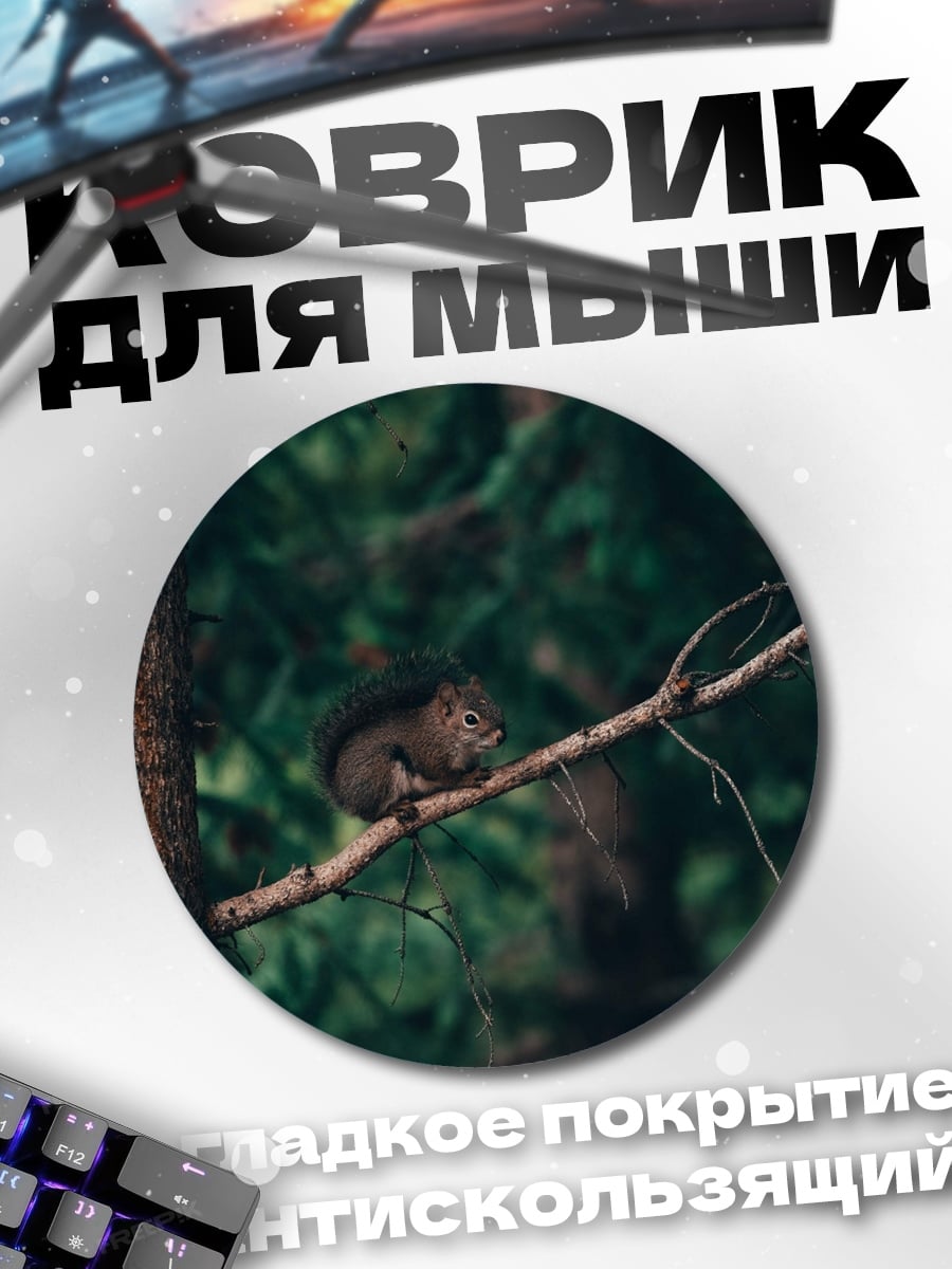 Коврик круглый Белка на ветке