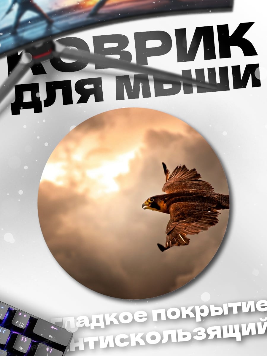 Коврик круглый Орел в небе