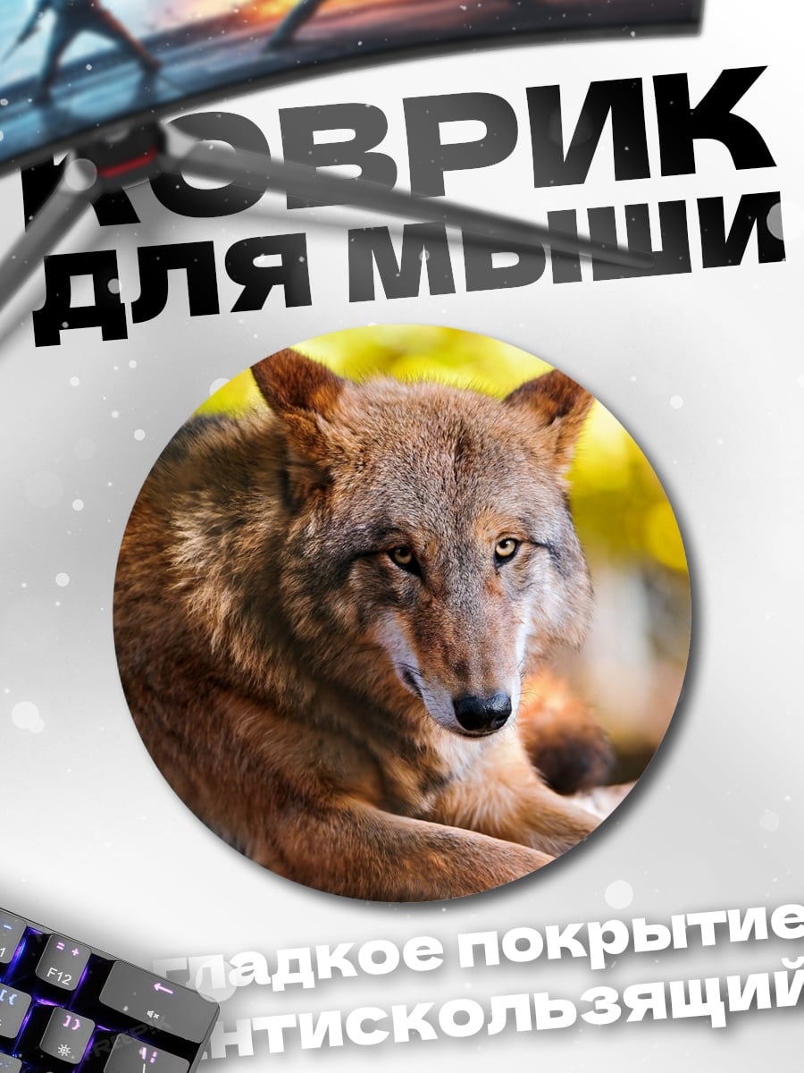 Коврик круглый Рыжий волк