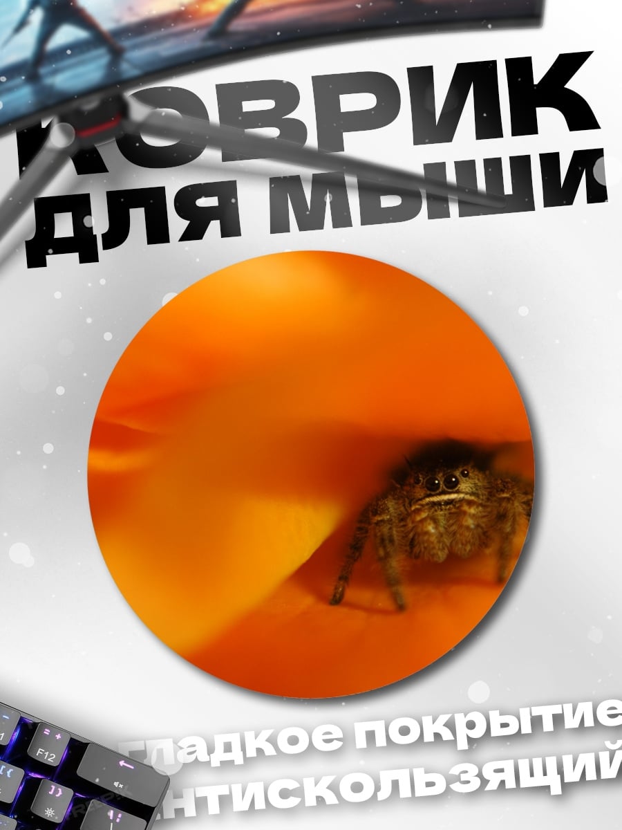 Коврик круглый Паук в цветке