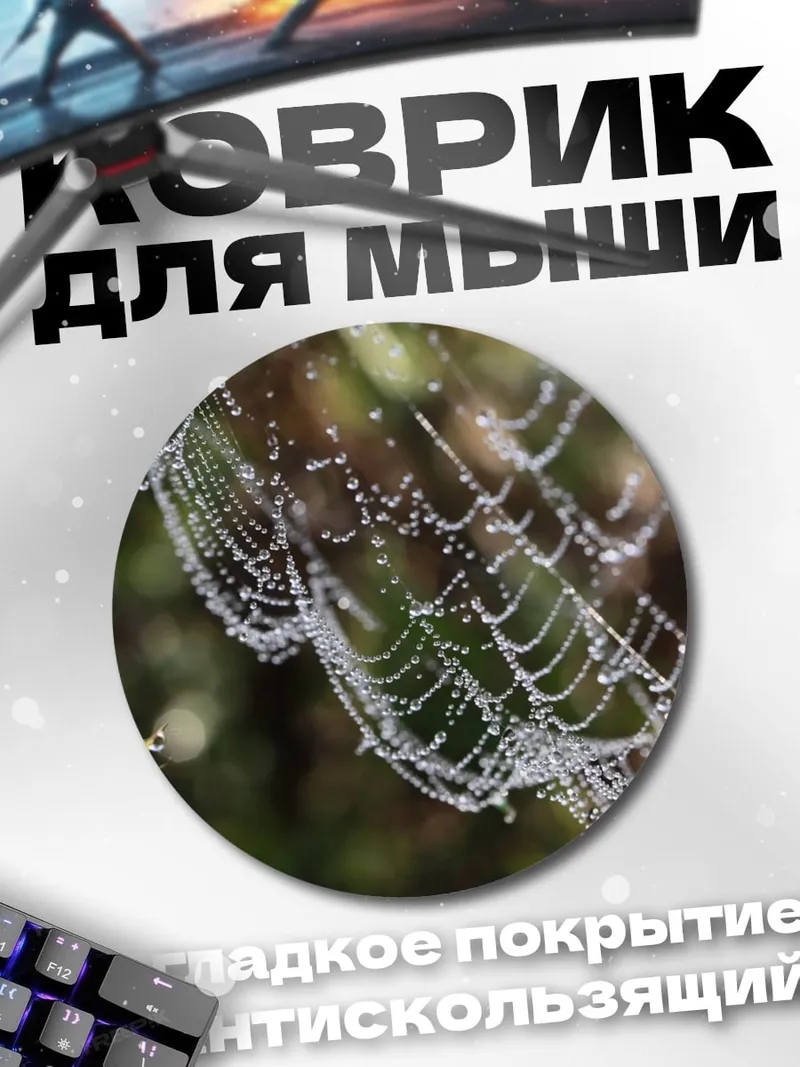 Коврик круглый паутина роса утро