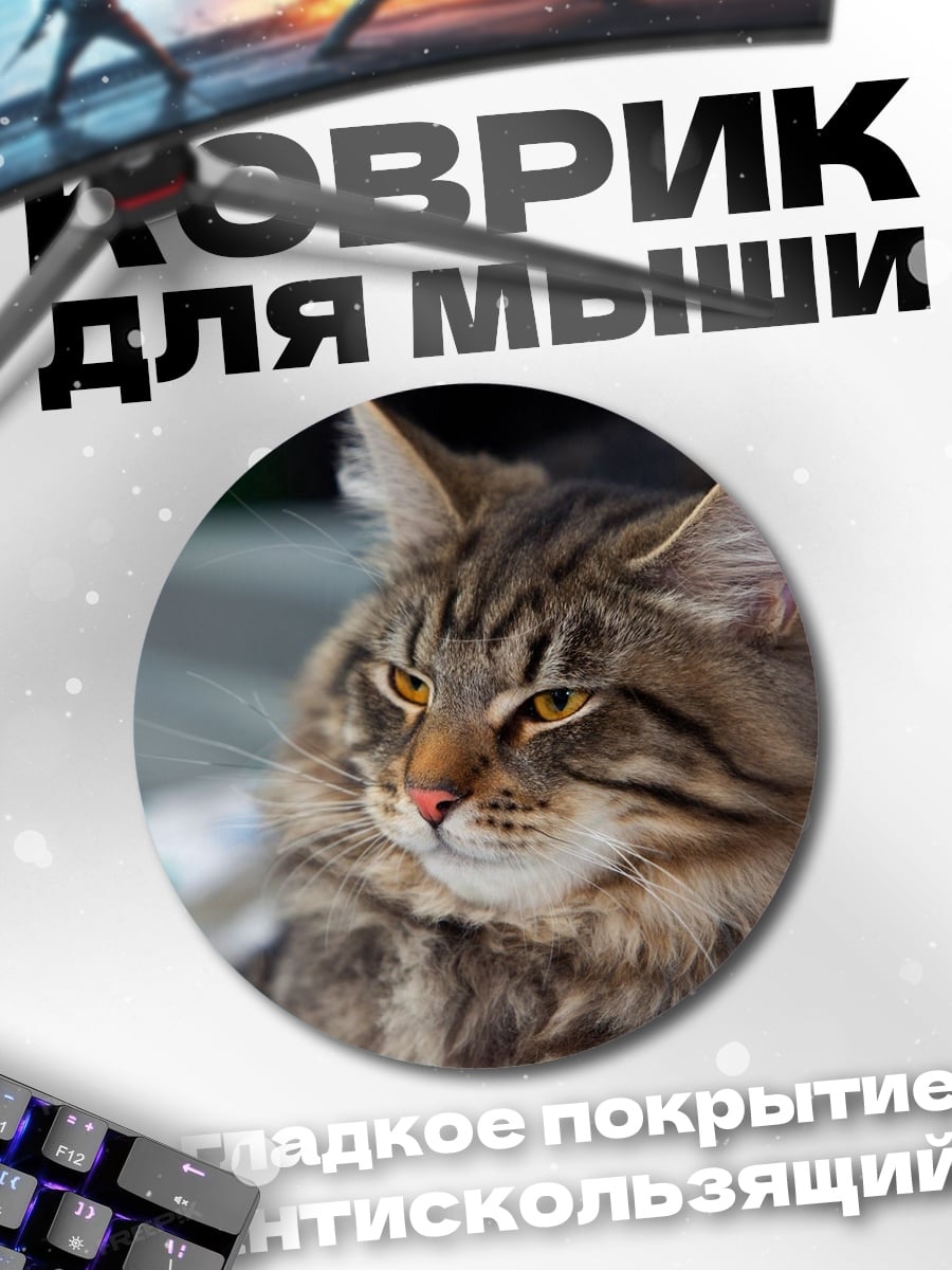 Коврик круглый Кот породы мейн-кун