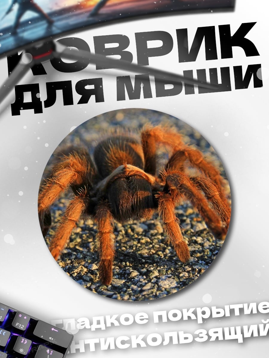Коврик круглый Паук тарантул на земле