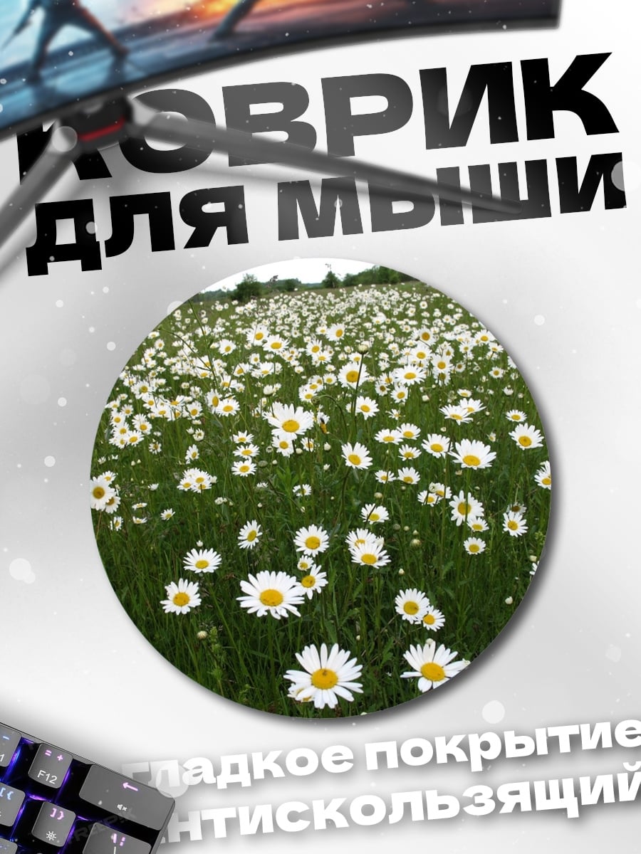 Коврик круглый Поле ромашек