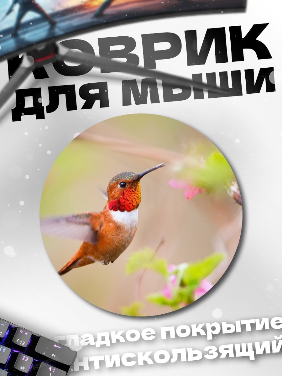 Коврик круглый Колибри в полете