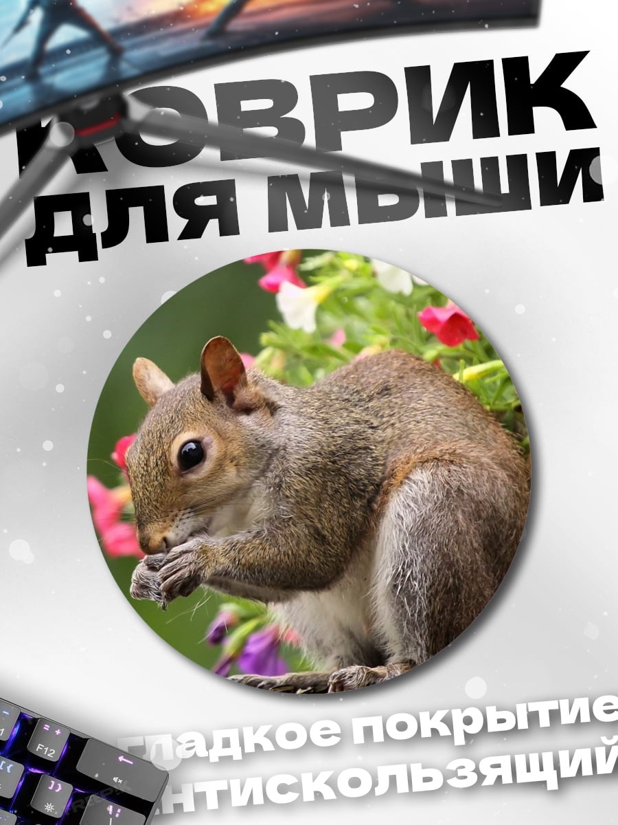 Коврик круглый Белка