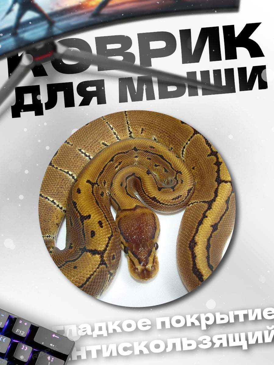 Коврик круглый змея полосатая