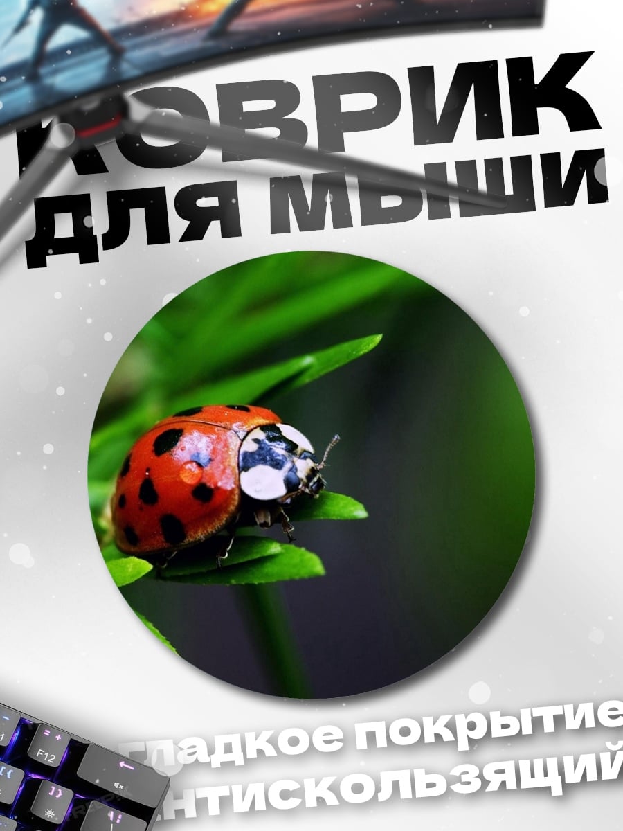 Коврик круглый Божья коровка на ветке