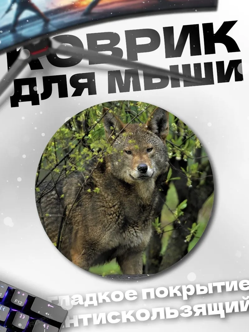 Коврик круглый Дикий койот в лесу