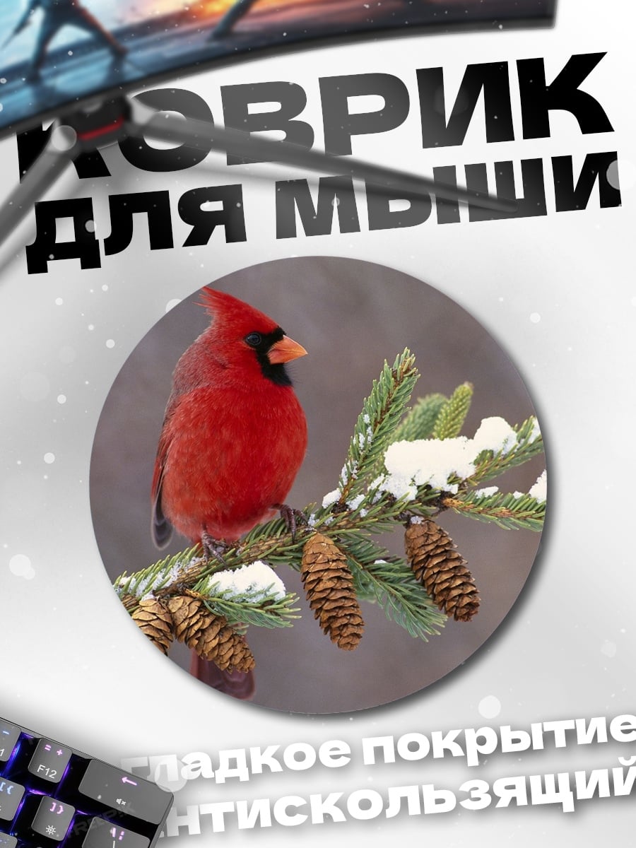 Коврик круглый Красный кардинал