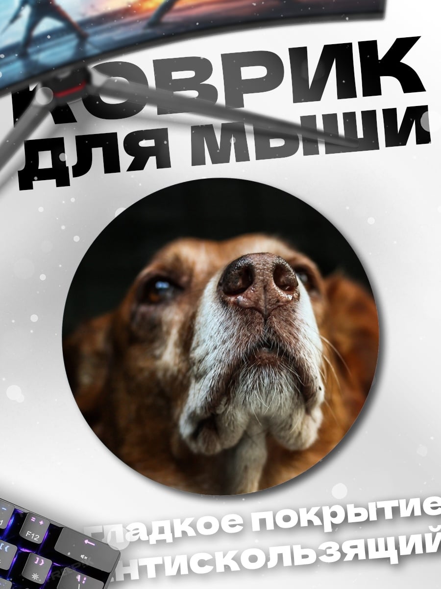 Коврик круглый нос собаки