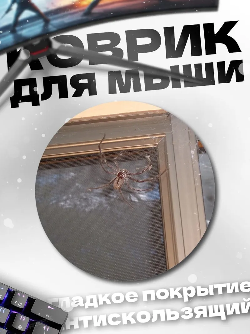 Коврик круглый паук на окне