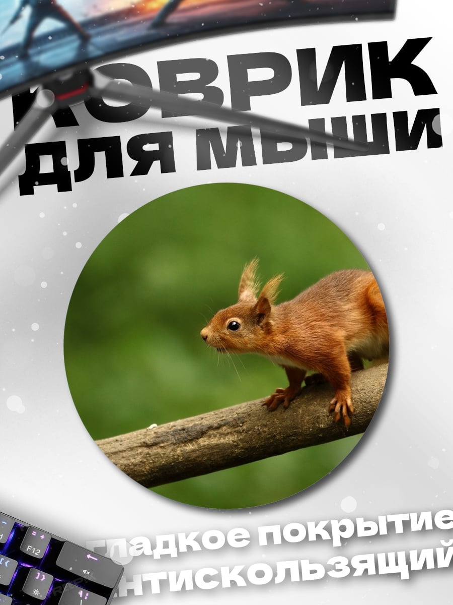 Коврик круглый Белка на ветке