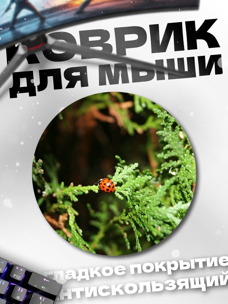 Коврик круглый божья коровка ветка