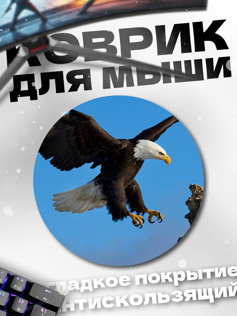 Коврик круглый Орел в полете