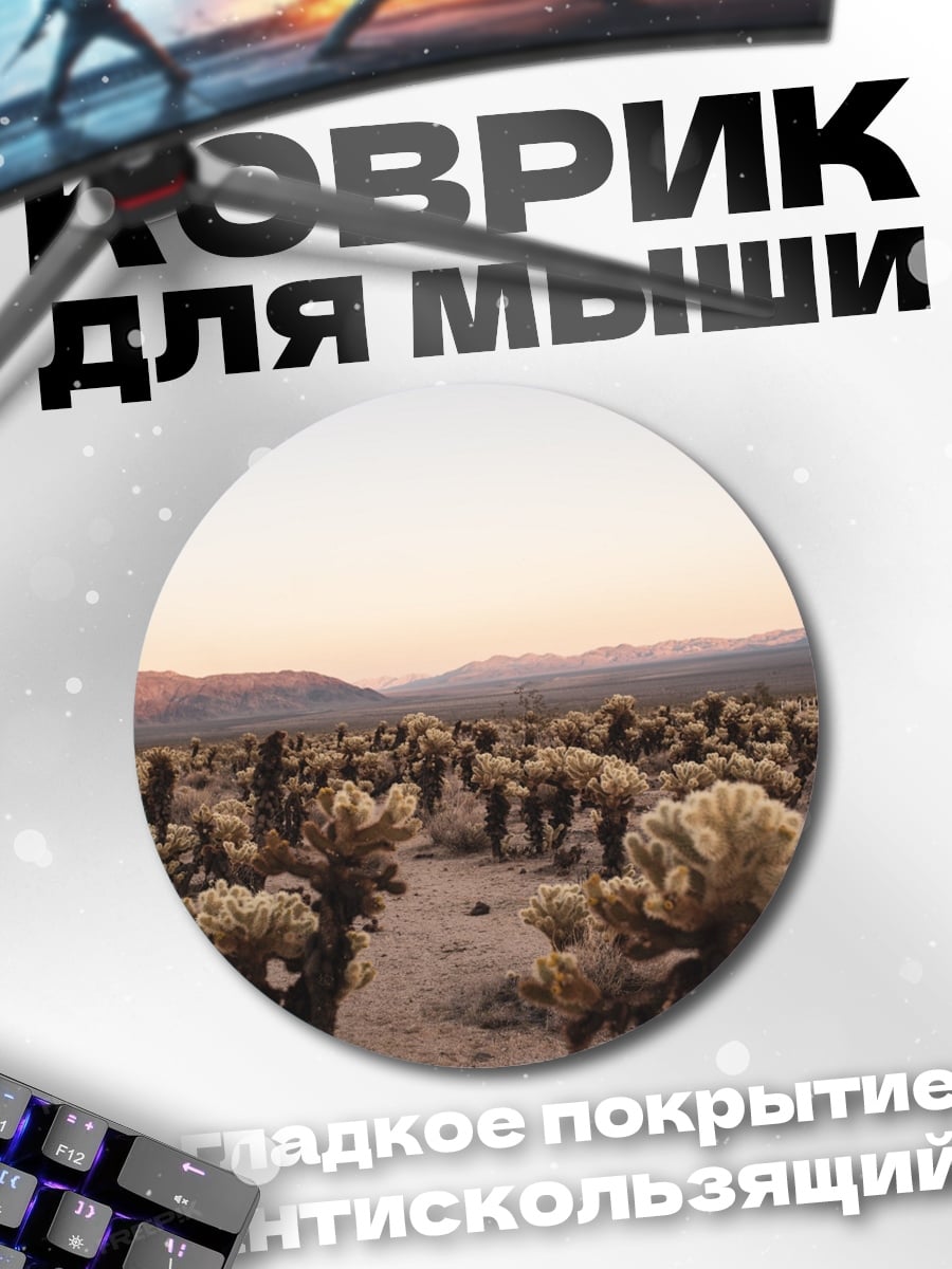 Коврик круглый Пустынный пейзаж кактусы