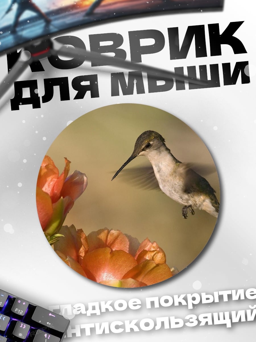Коврик круглый колибри и цветок
