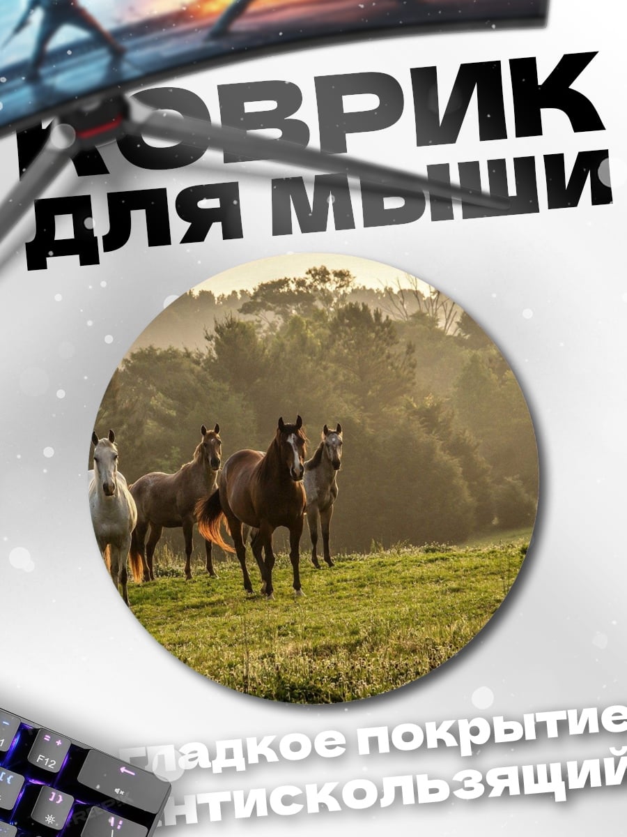 Коврик круглый Дикие лошади на лугу