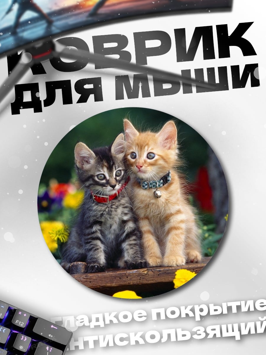 Коврик круглый два котенка сидят