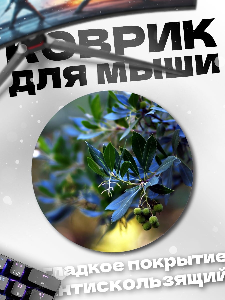 Коврик круглый Ветка с листьями