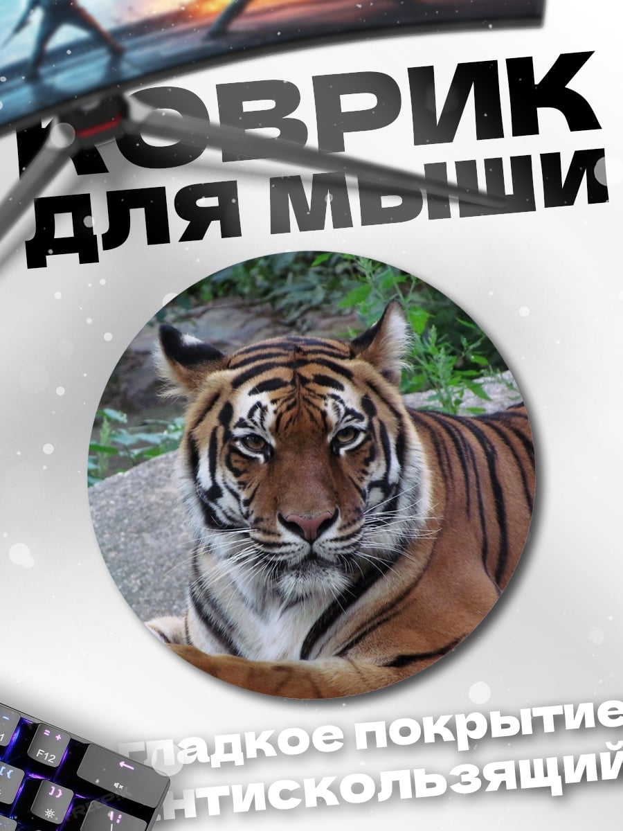 Коврик круглый Тигр в джунглях