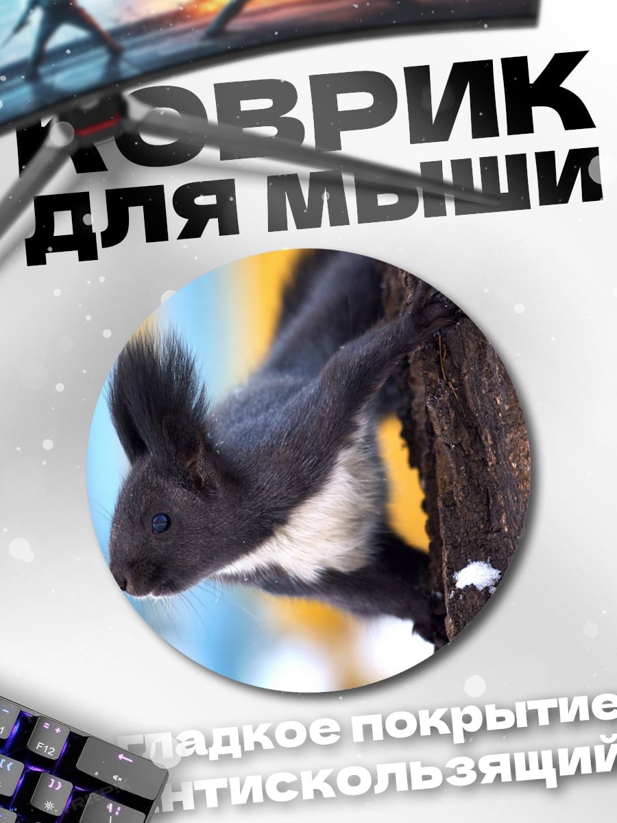 Коврик круглый Чёрная белка на дереве