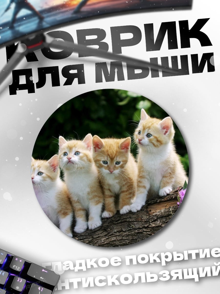 Коврик круглый Котята на бревне